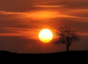 sunset_sky_b