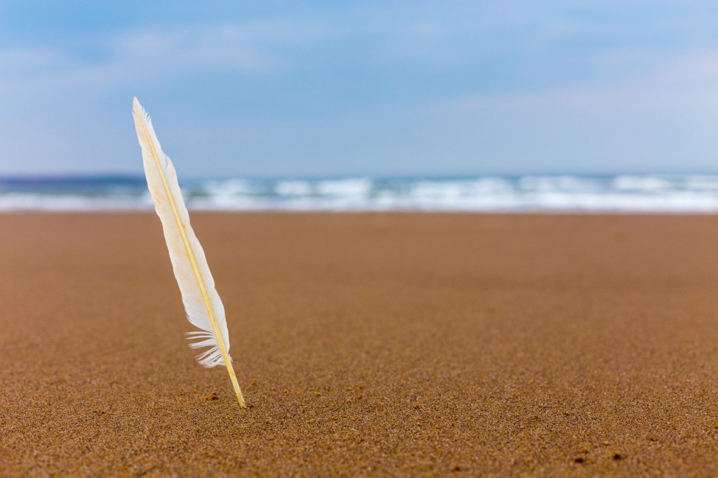 feather