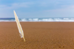 feather