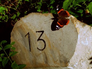 thirteen