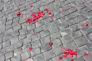 road_petals