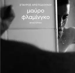 Μαύρο φλαμίνγκο, του Σταύρου Χριστοδούλου