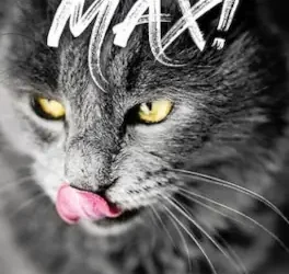 «Max!», από το «Φυστίκι που Κυλάει»